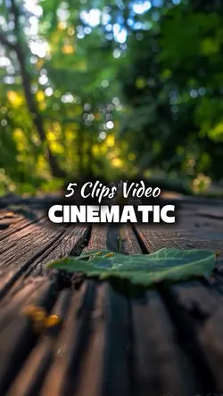 5 Videos Cinematic