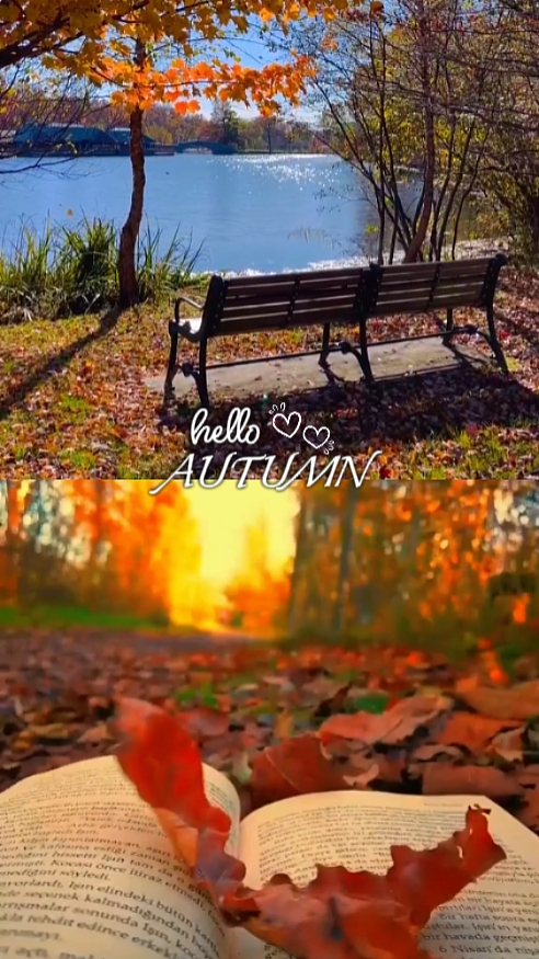 hello autumn