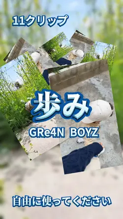 歩み GRe4N BOYZ