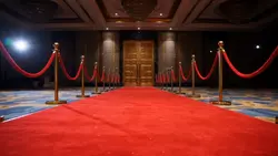red carpet opening