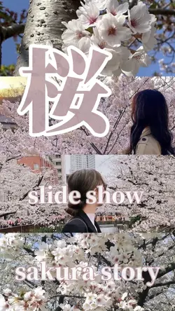 桜🌸slideshow 30