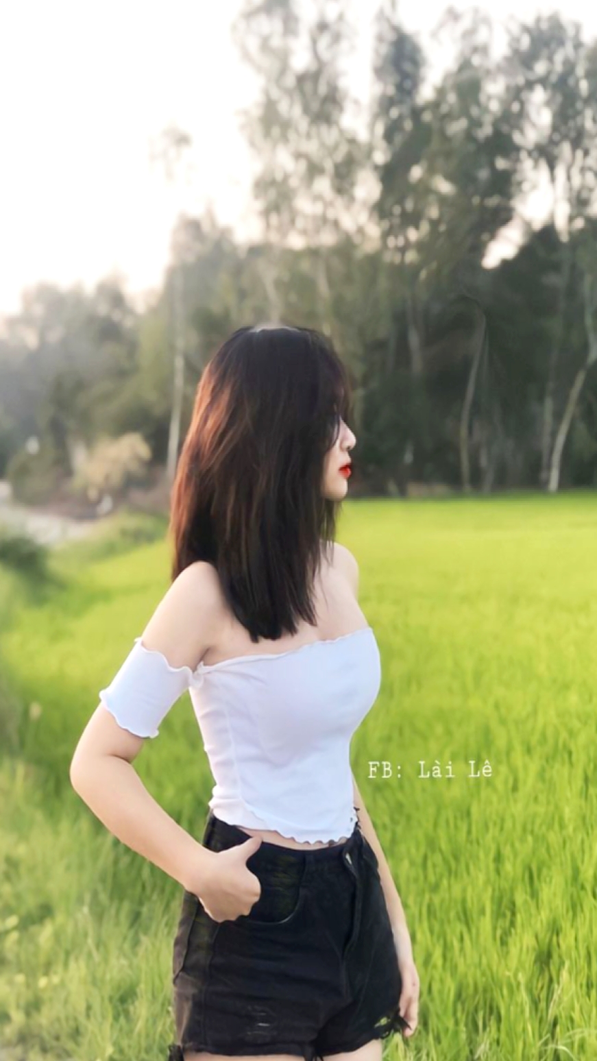 စော်ကြည်ဘဲ 