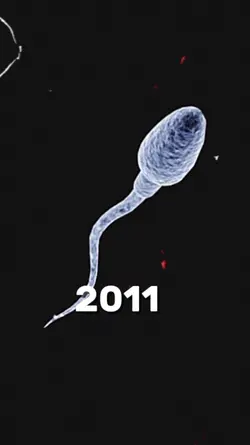 2011 vs 2026