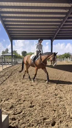 Horse edit🩵‼️FAKE⚠️AI‼️