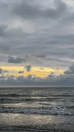 生活小碎片🧩✨