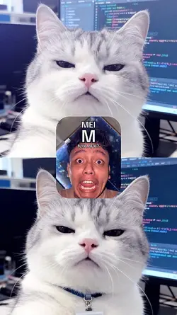 Mei M nya apa