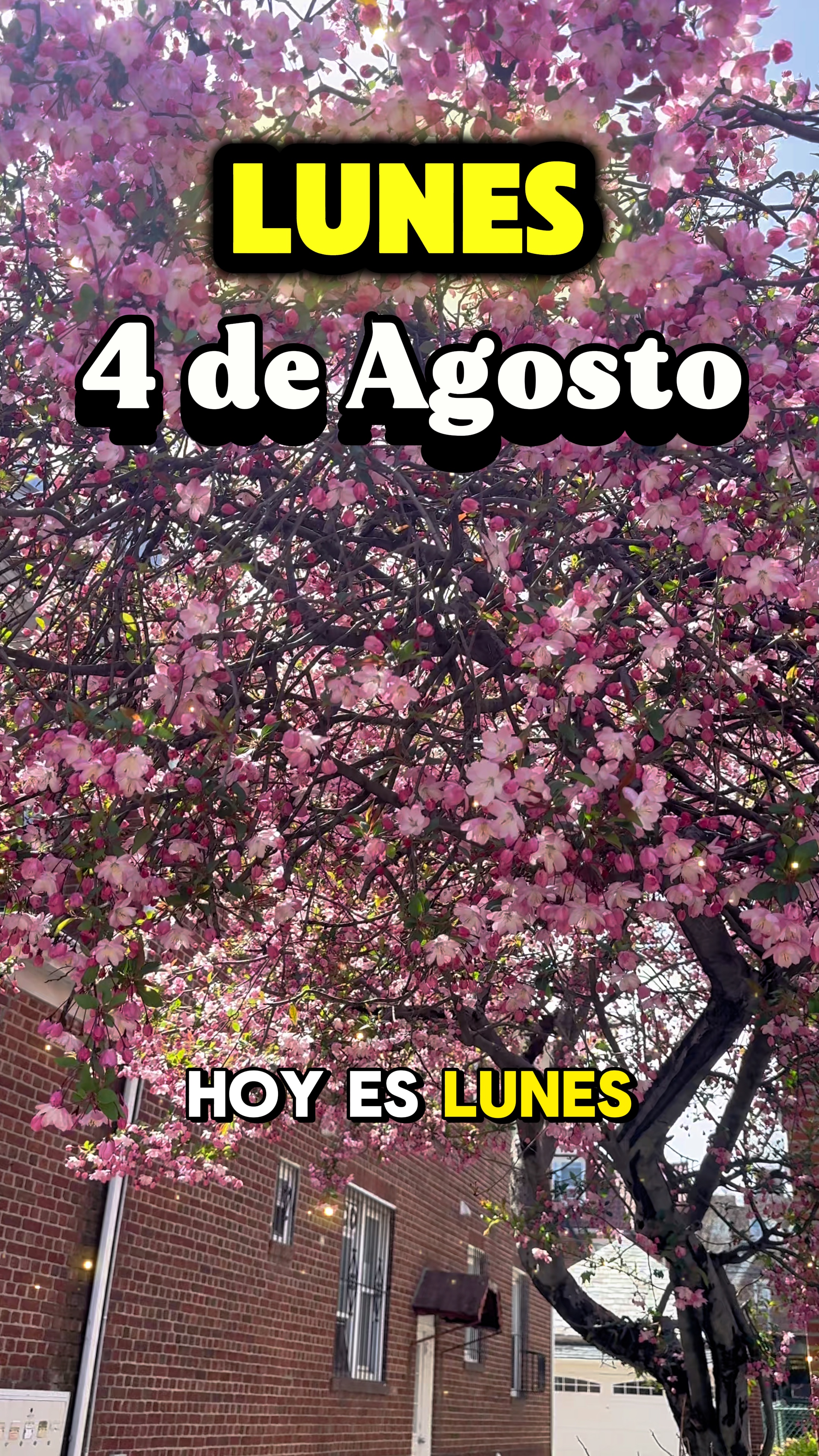 Ay 4 de Agosto 