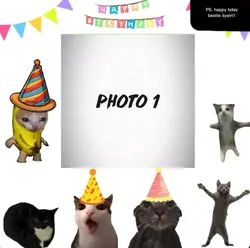 CAT HAPPY BDAY