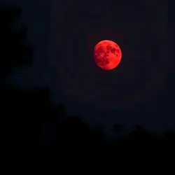 BloodMoon