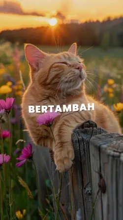 Selamat Ulang Tahun