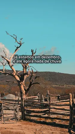 já tamo em dezembro 