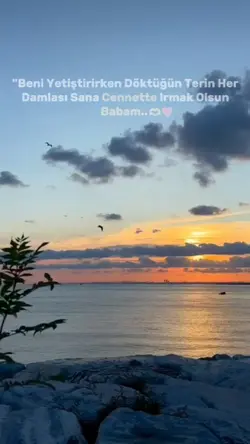 Canım babam 