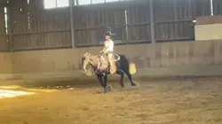 Slowmo reining