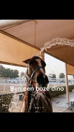 ⚠️not real⚠️