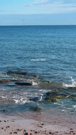 Summer vitamin sea
