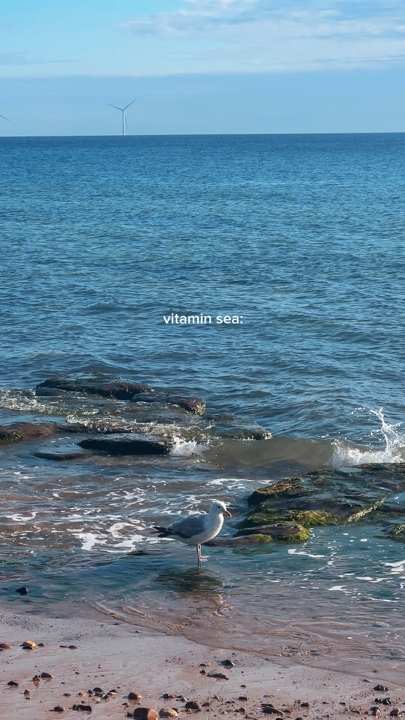 Mar de vitamina de verão