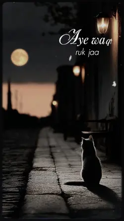 Aye waqt ruk ja