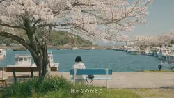 私はいつも探しています