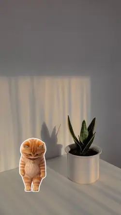 DANCE WITH CAT