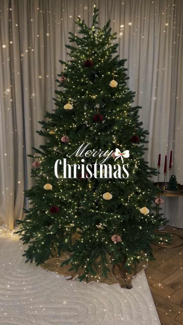 Merry Christmas 2025