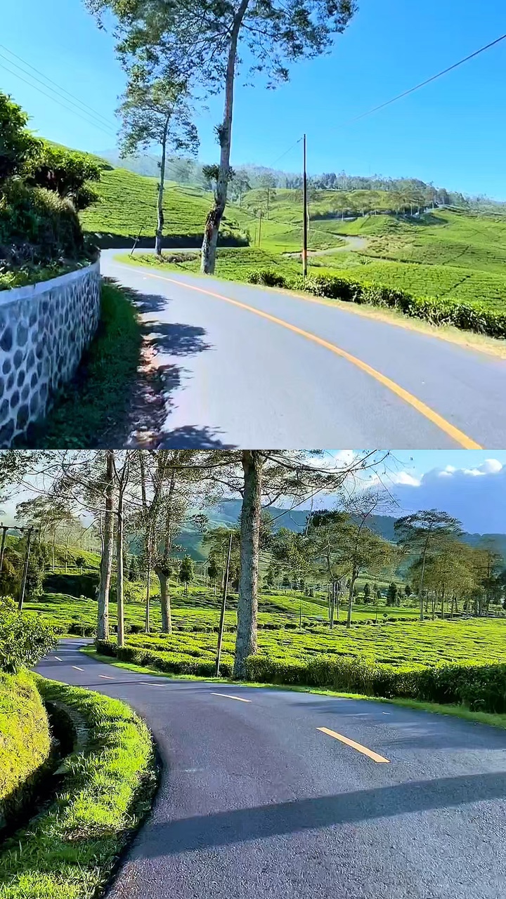 2 videos kolase