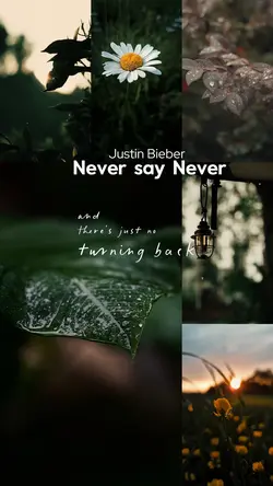 Never Say Never