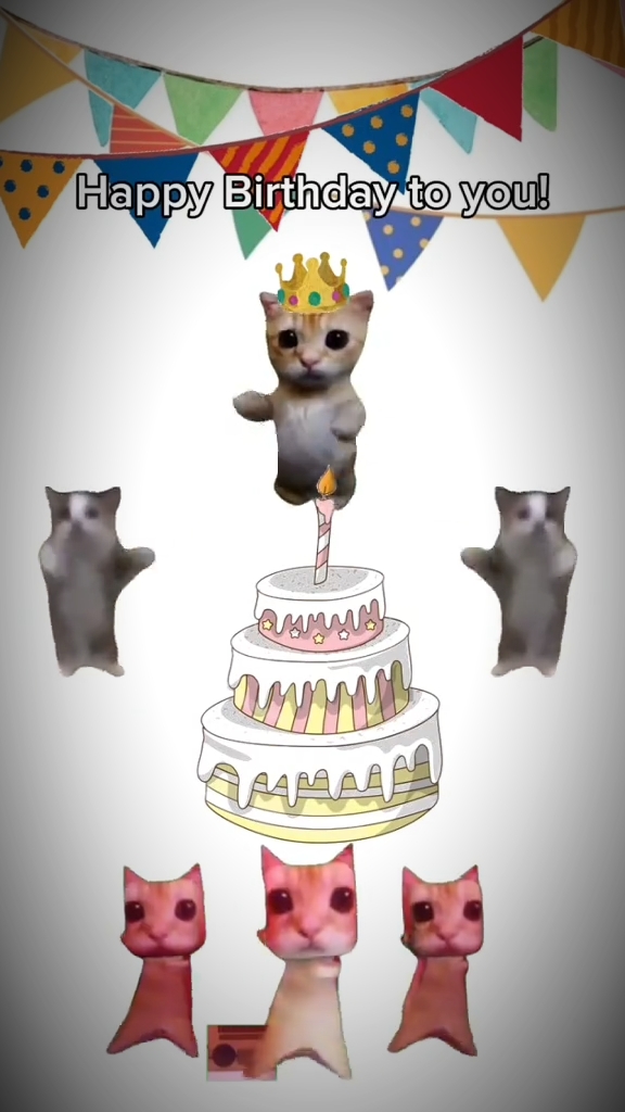 JOYEUX ANNIVERSAIRE 