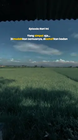 story wa