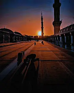 ইসলামিক ভিডিও 