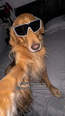 สกิลทำงานสแตนดาร์ด