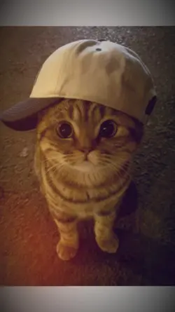 cool Ming Ming 
