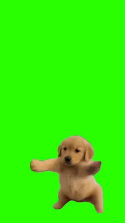 Dog Scuba Dance
