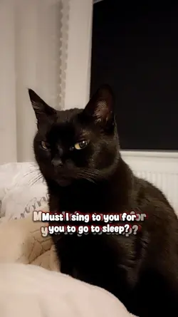 Now go to bed!