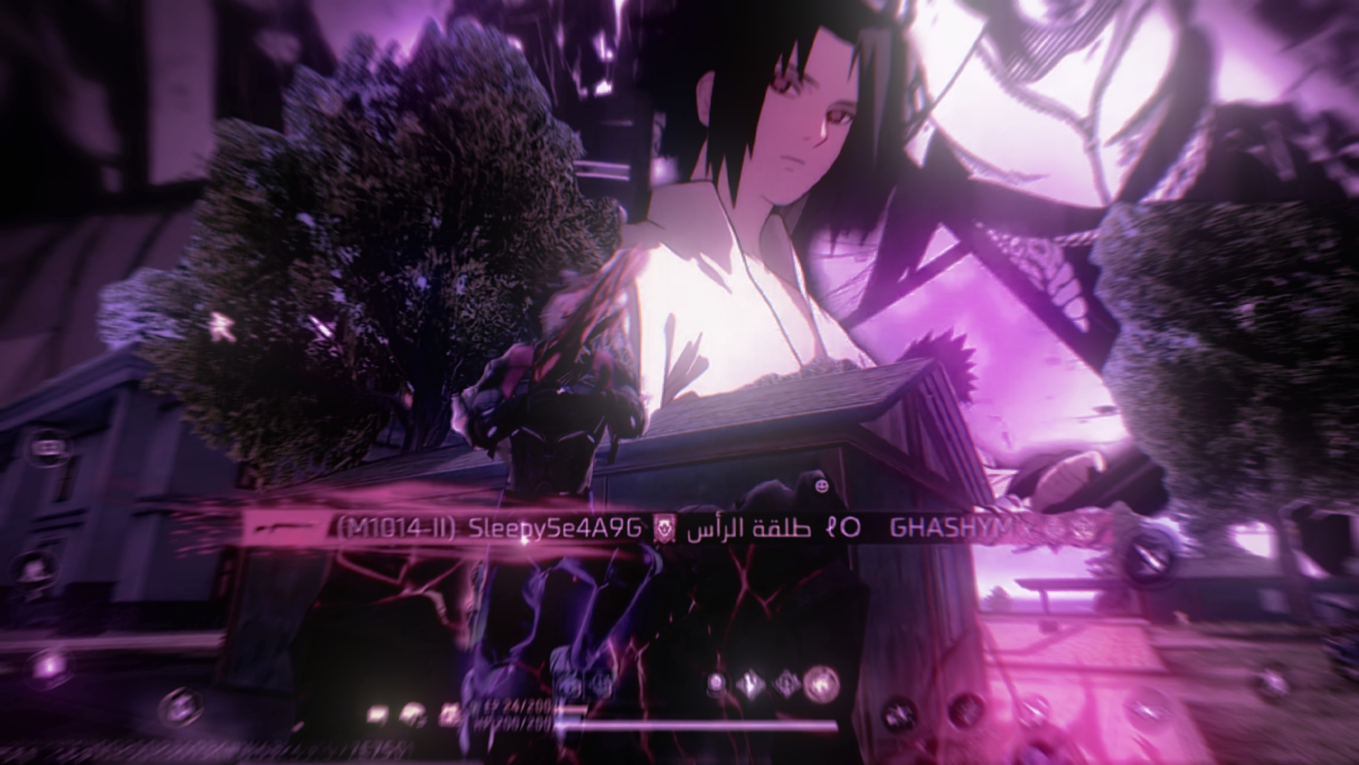 Cover Picture