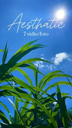 7 vidio aesthetica