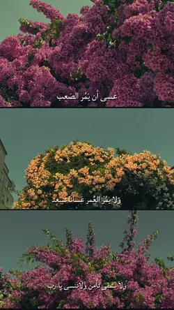 عسى ان يمُرّ الصعب😮‍💨