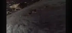 suronster crash