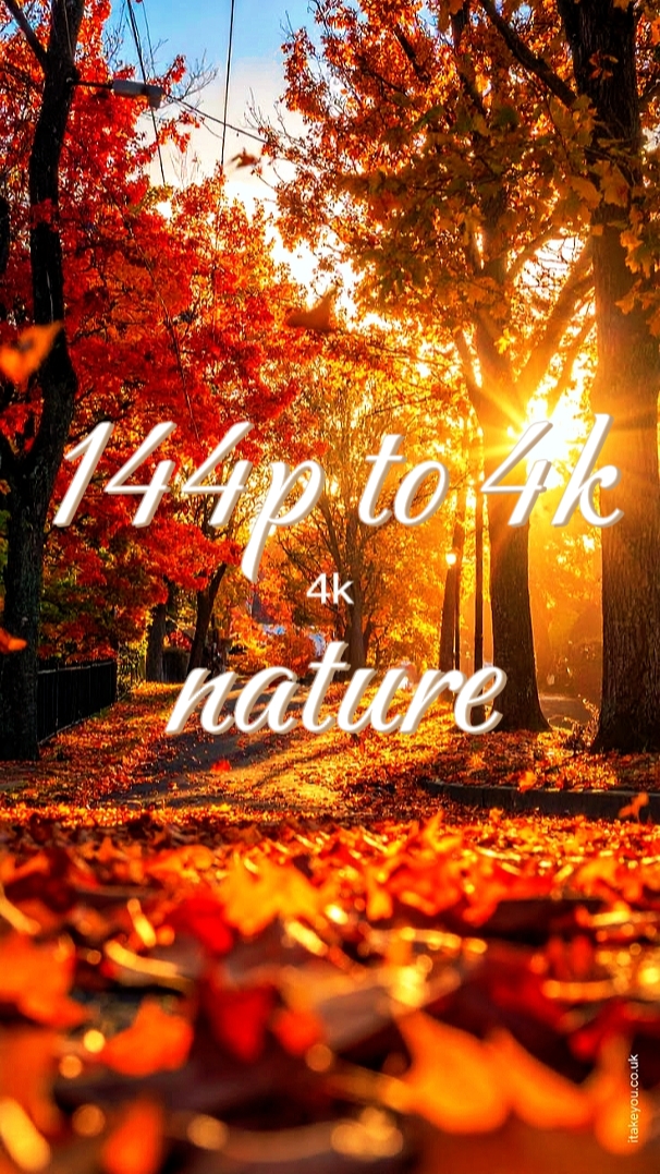Tendencia de 144p a 4k