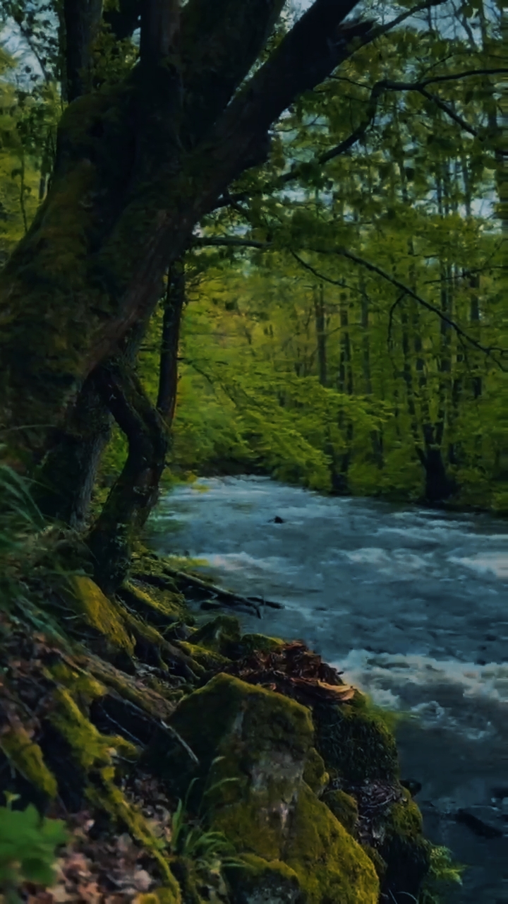 nature story