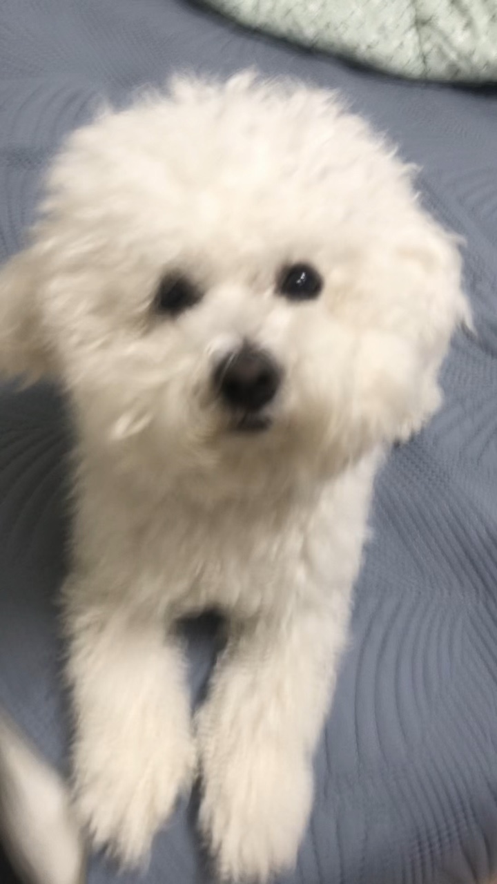 김애플 생일축하한다 ㅋ