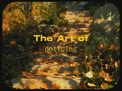 the art of noticing 