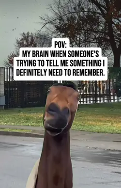 Selective Memory