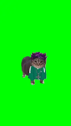 OOIIIAAA CAT