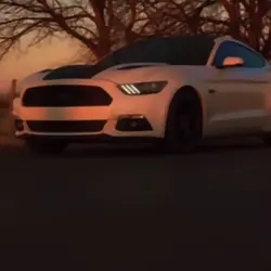 Fort Mustang Edit