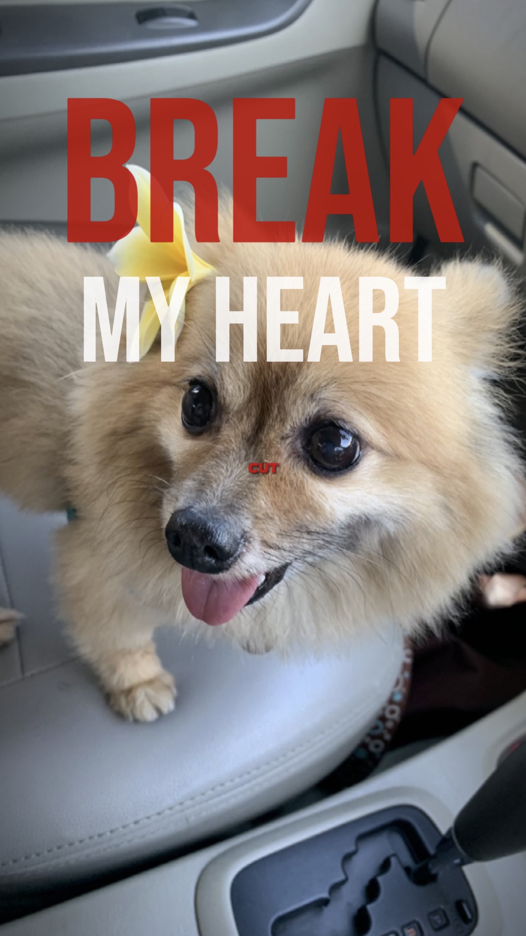 Break My Heart