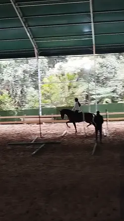 Slowzin