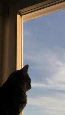 aku mah masih pemula