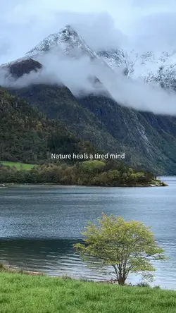 Nature heals |