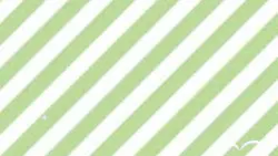 𓏸誕生日おめでとうございます‼️