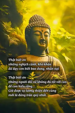 Biết ơn nghịch cảnh 